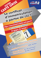 Carte Grise.png